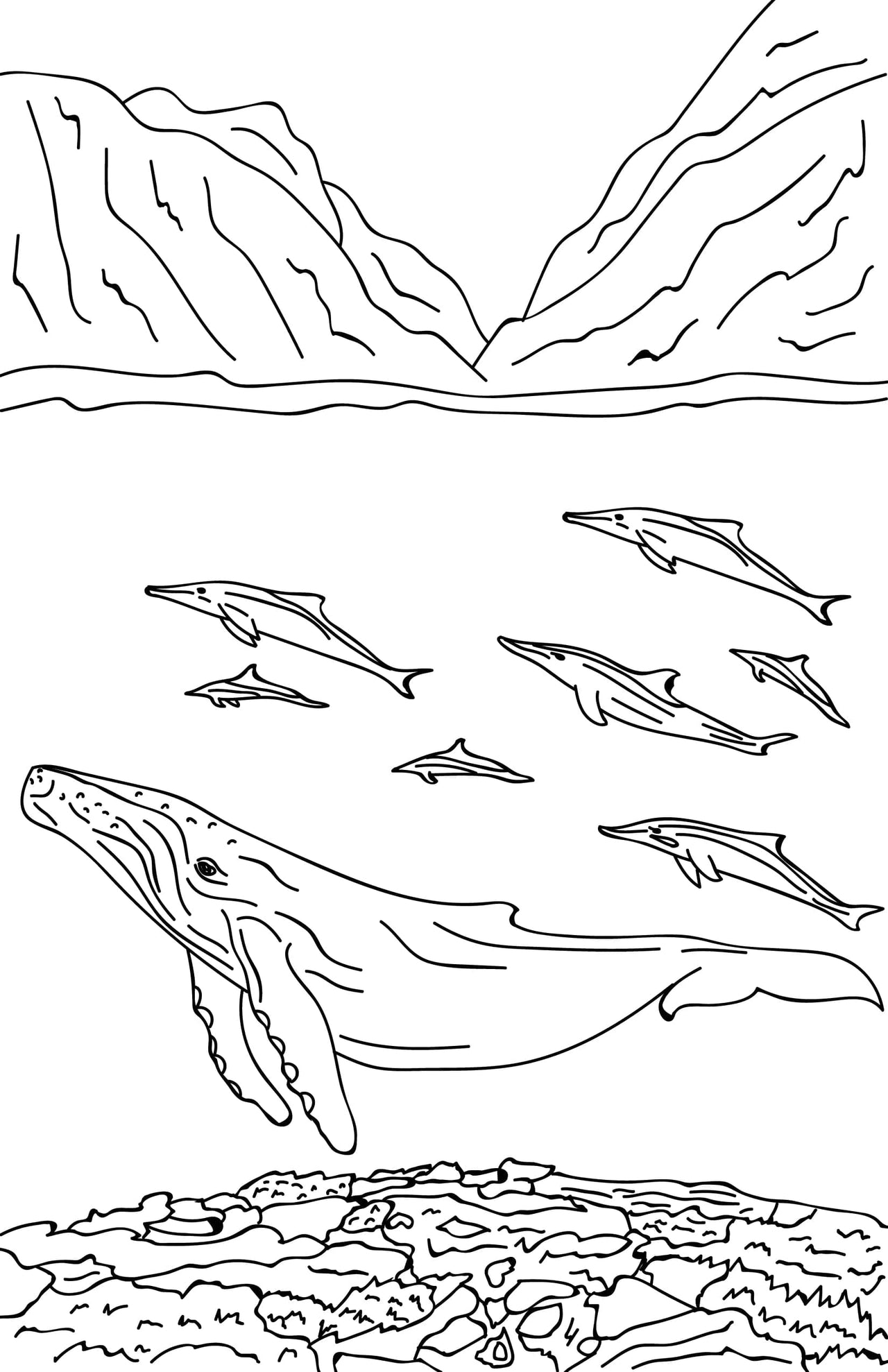 Native Hawaiian Wildlife Coloring Book page