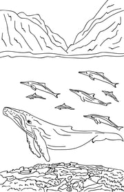 Native Hawaiian Wildlife Coloring Book page