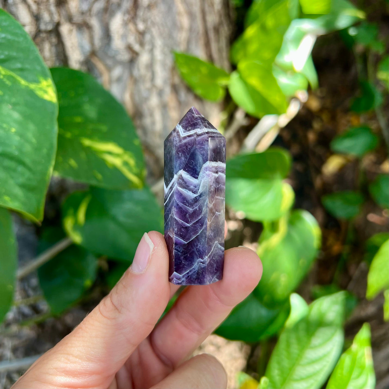 Chevron Amethyst Crystal Point