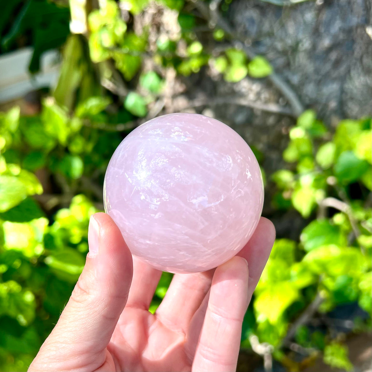 Polished Rose Quartz Sphere