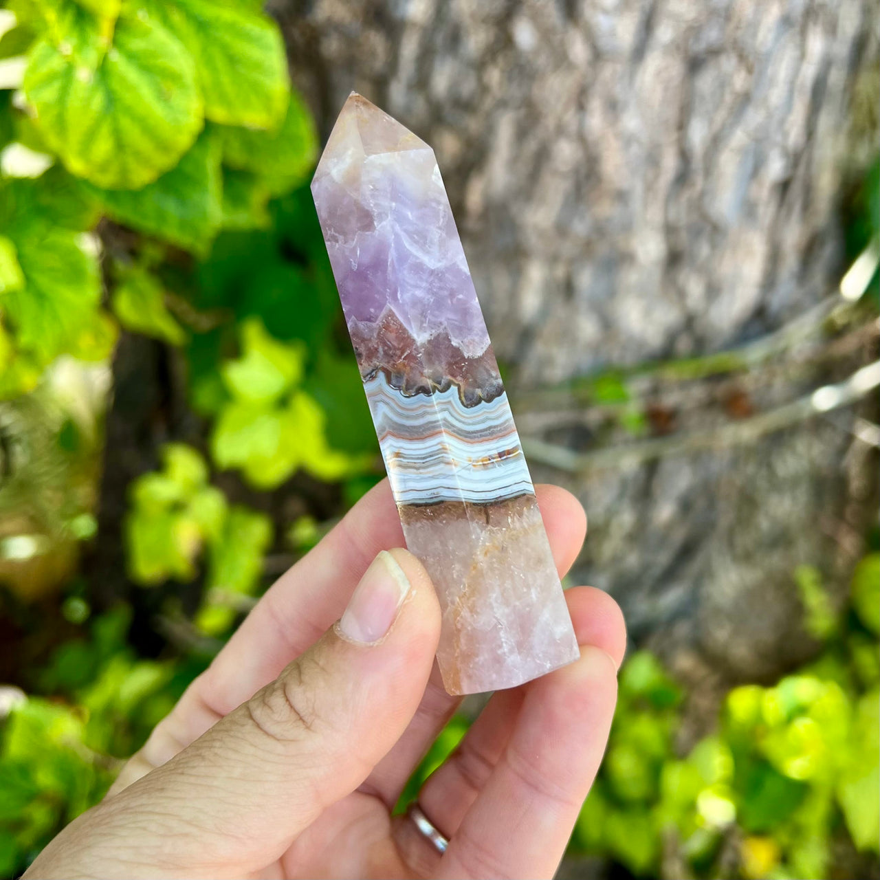 Lace Amethyst Crystal Point