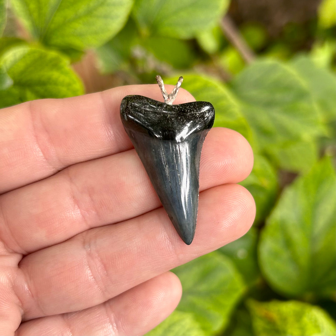 Sleek Fossil Mako Tooth Pendant- STFP19