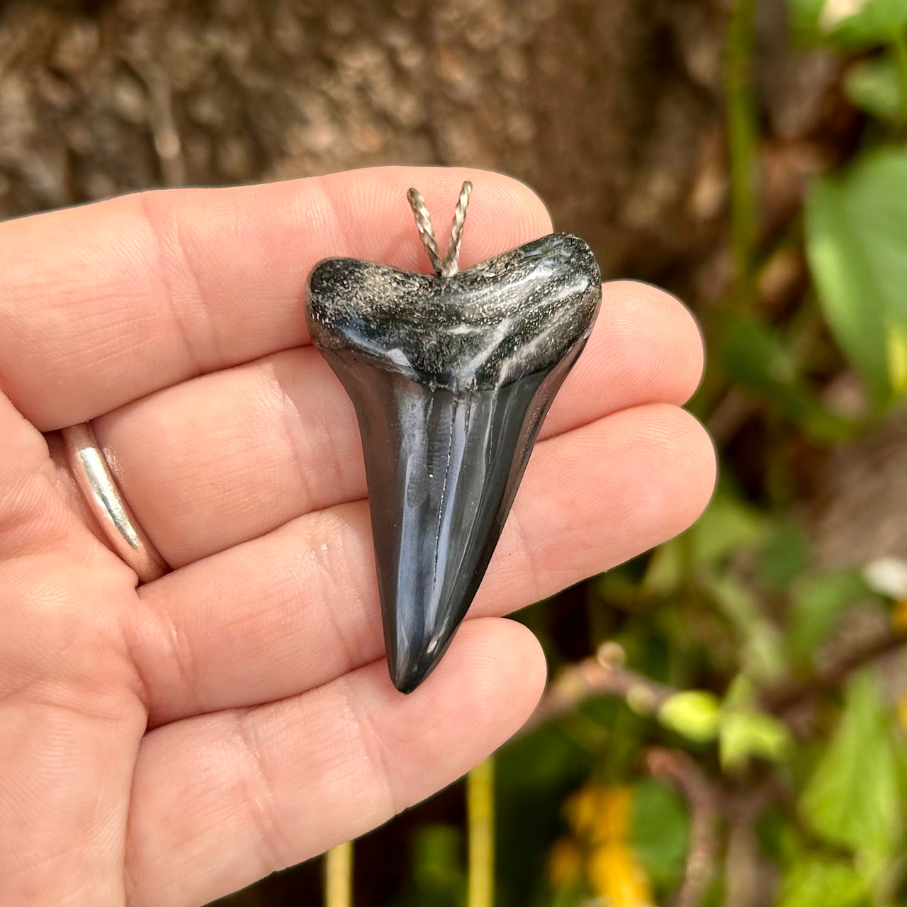 Sleek Fossil Mako Tooth Pendant- STFP19