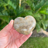 Polished Fossil Coral Hearts