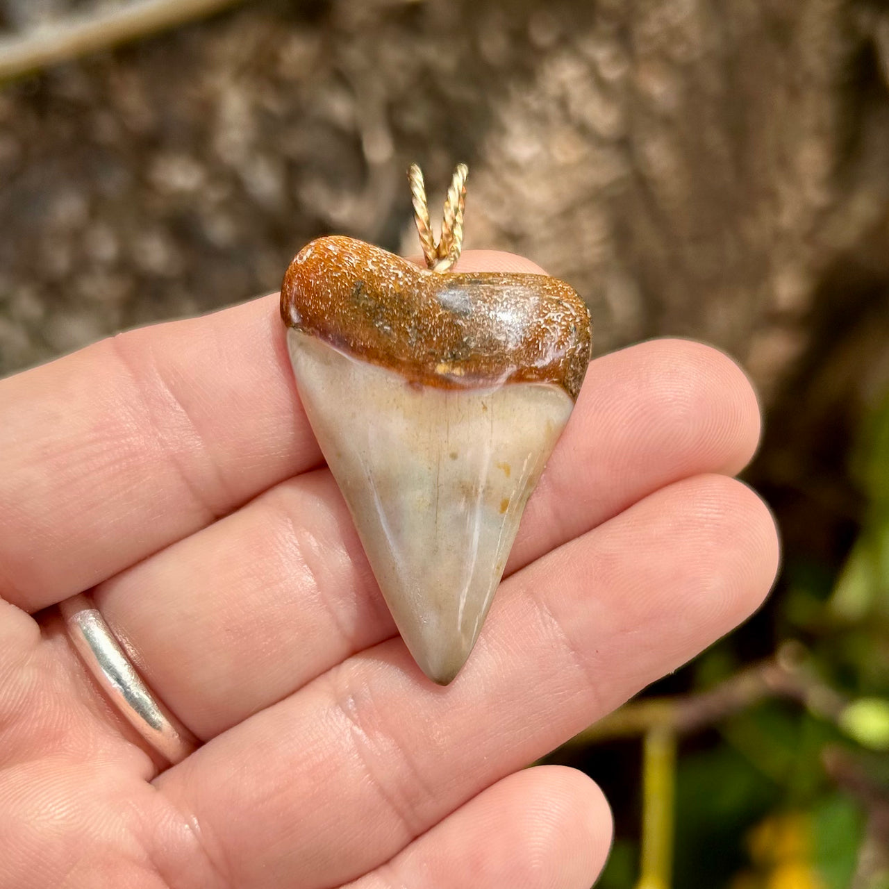 Fossil Mako Tooth Pendant- STFP29