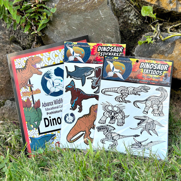 Dinosaur Coloring Book, Stickers, and Temporary Tattoos