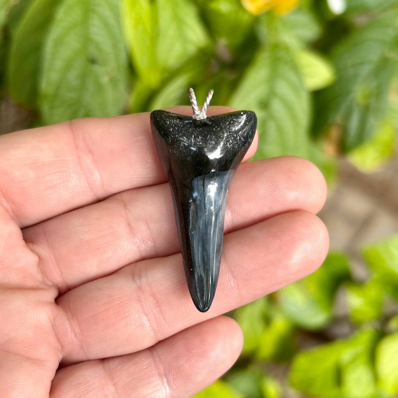 1 1/2” Fossil Mako Pendant- STFP47
