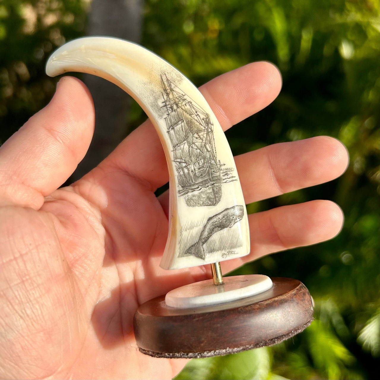 Whaling Vessel with Sperm Whale Scrimshaw by Ray Peters