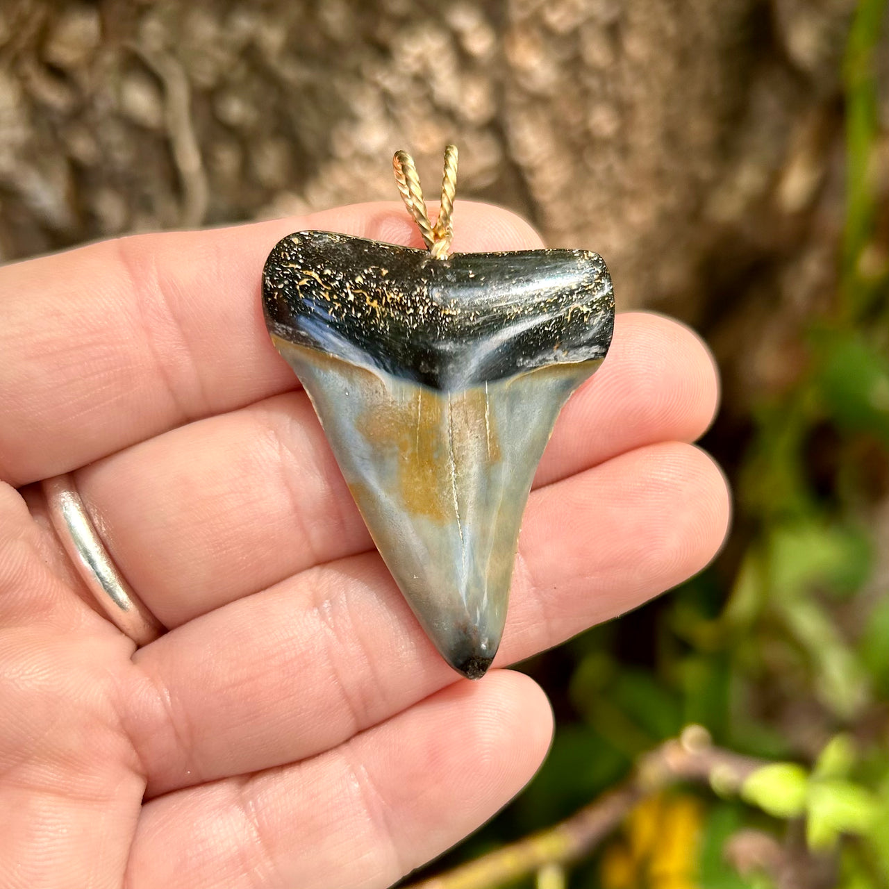1 3/4" Fossil Mako Tooth Pendant - STFP52