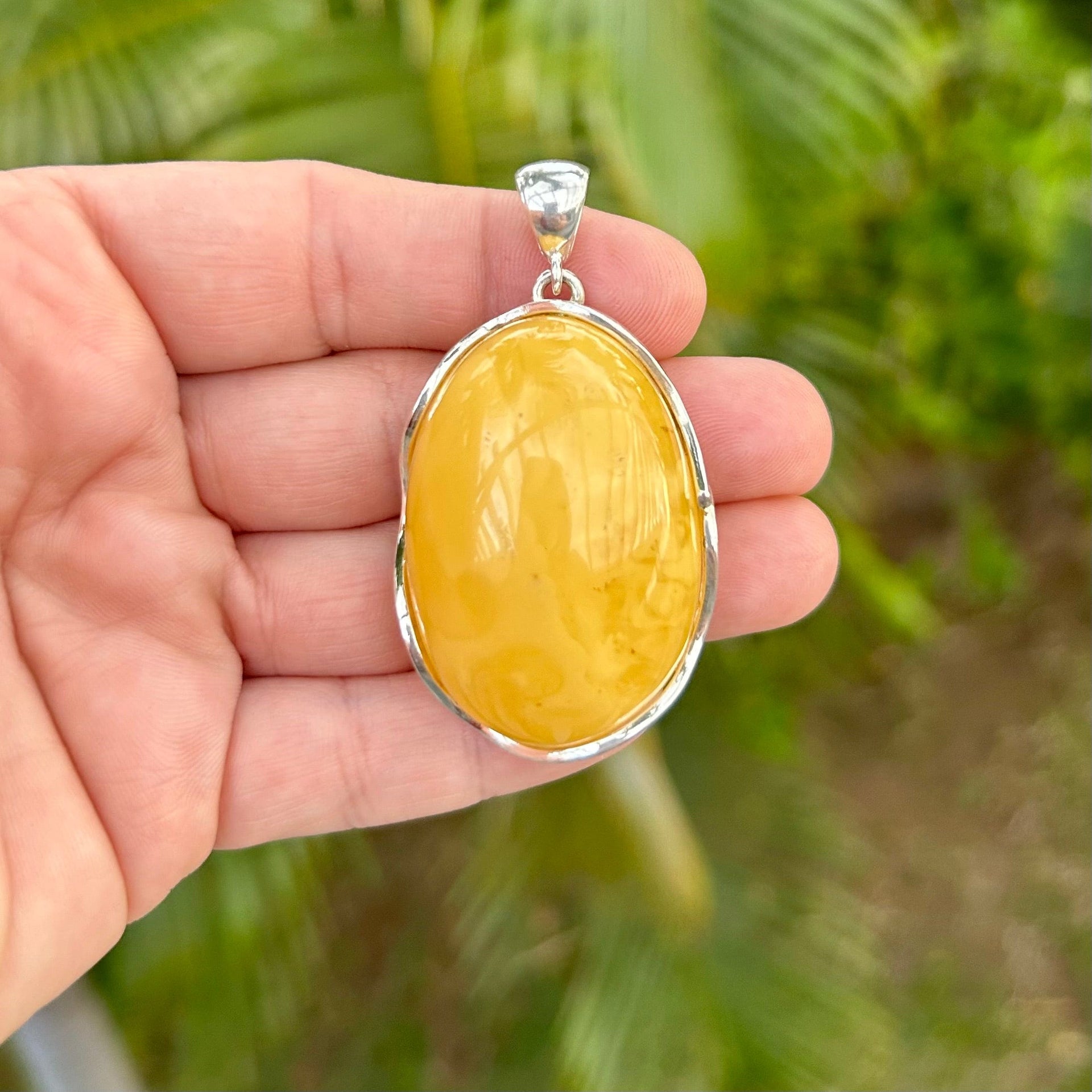 Large Butterscotch Baltic Amber Sterling Silver Pendant