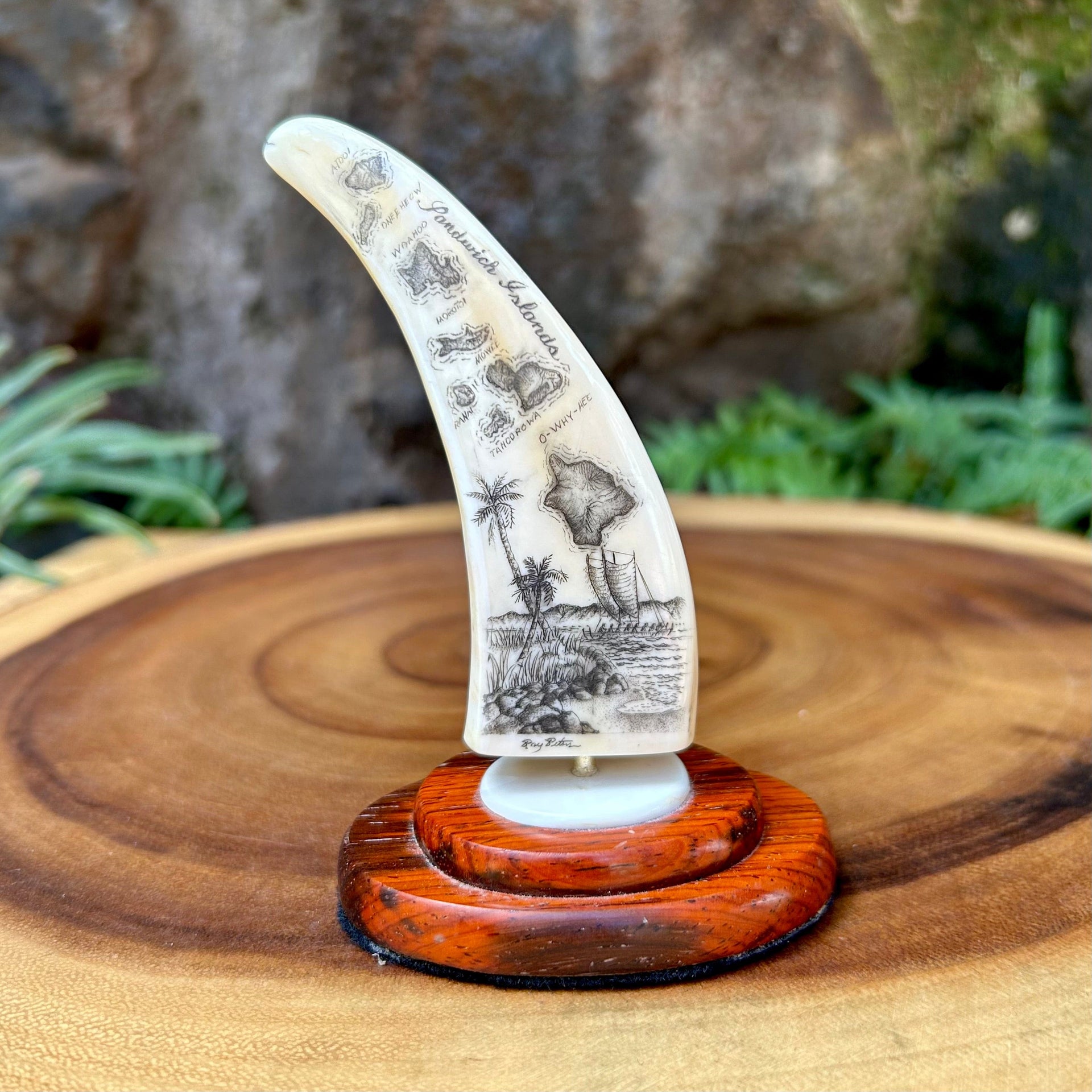 Hawaiian Islands Scrimshaw by Ray Peters