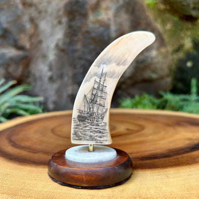 Ray Peters Carving - Fossil Walrus Fish Hook - Scrimshaw Collector