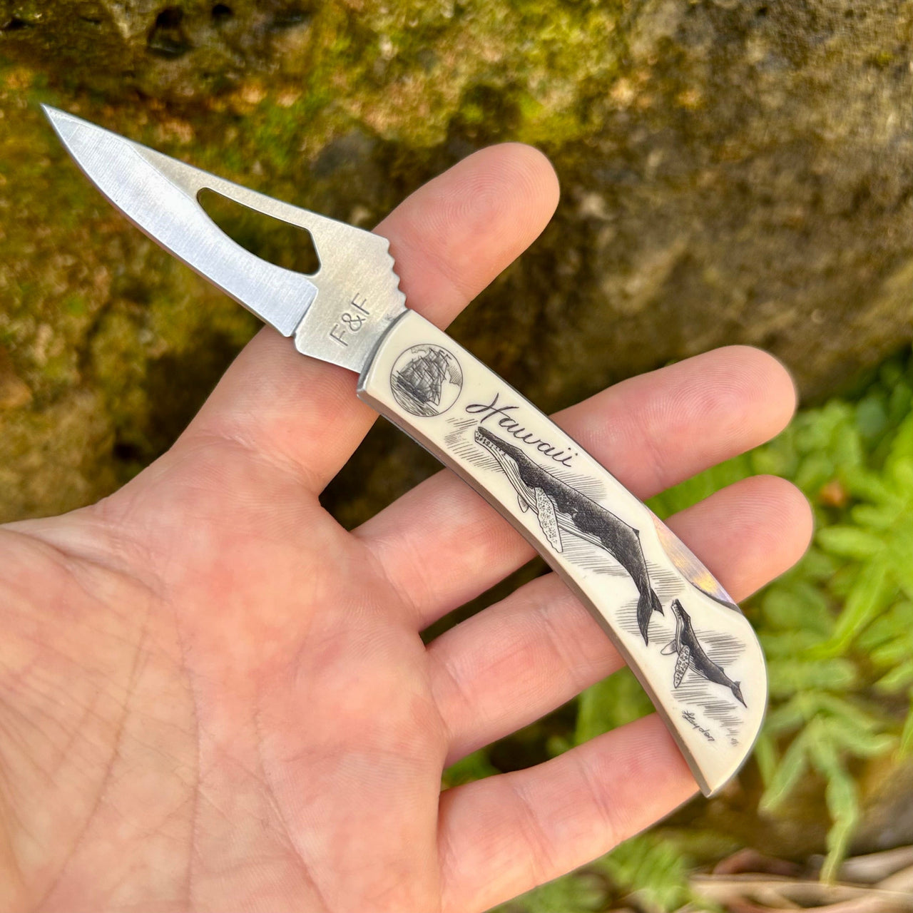 Scrimshaw Style Pocket Knife with Clip