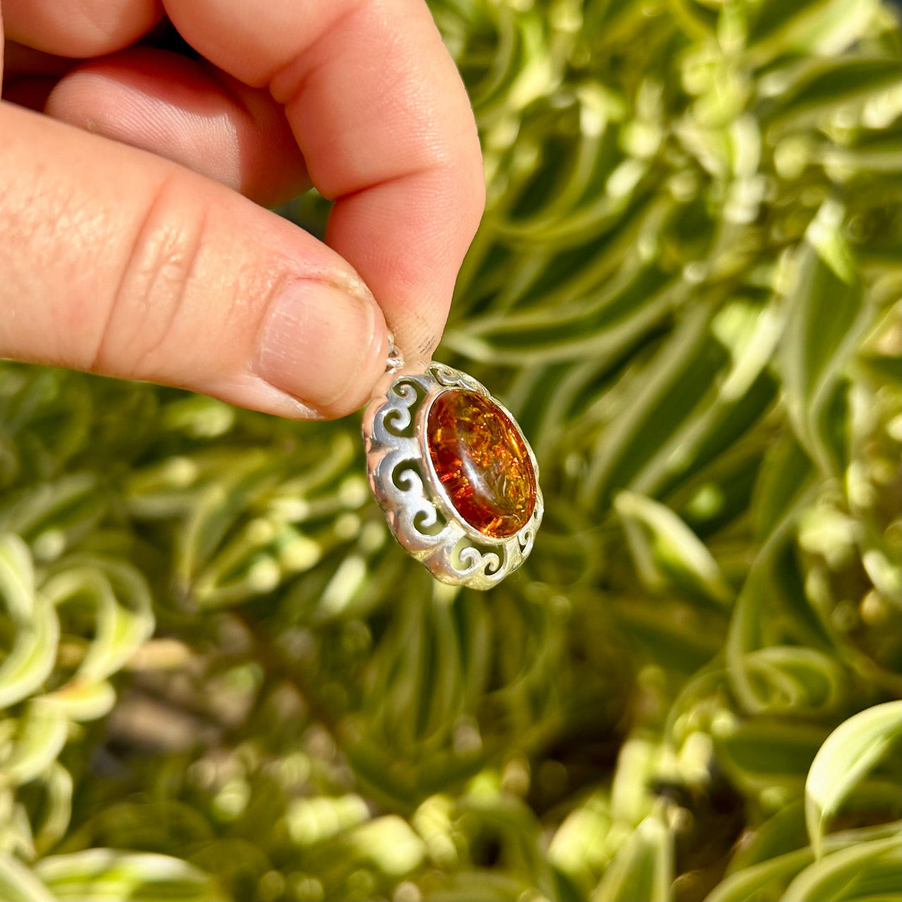 Swirl Framed Baltic Amber Pendant- BAP44