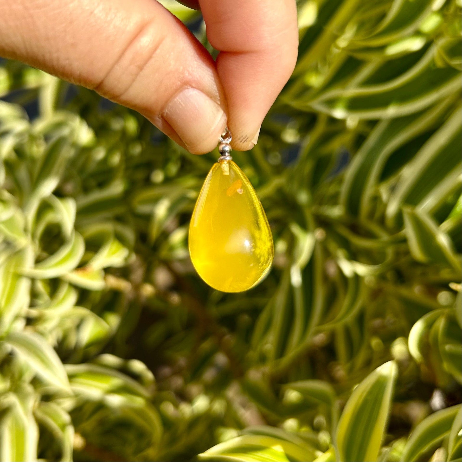 Lemon Drop Amber Pendant