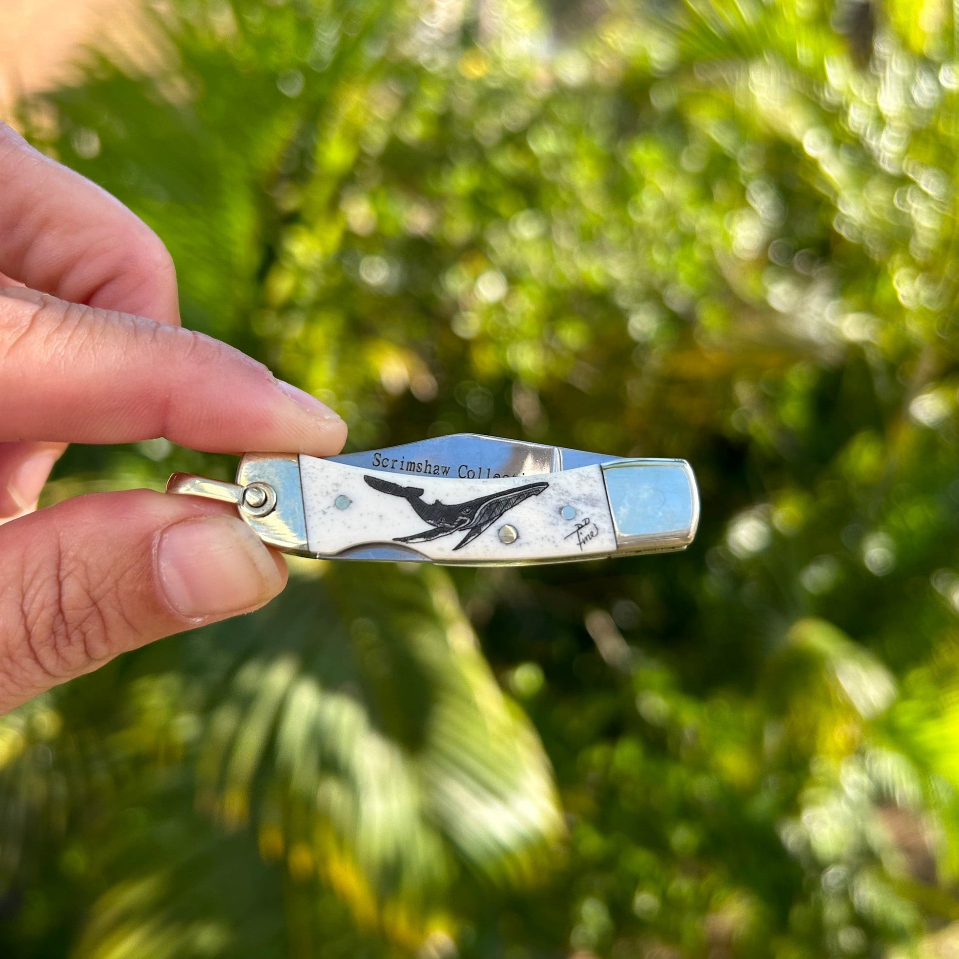 Derek Fine Scrimshaw Humpback Keychain Knife