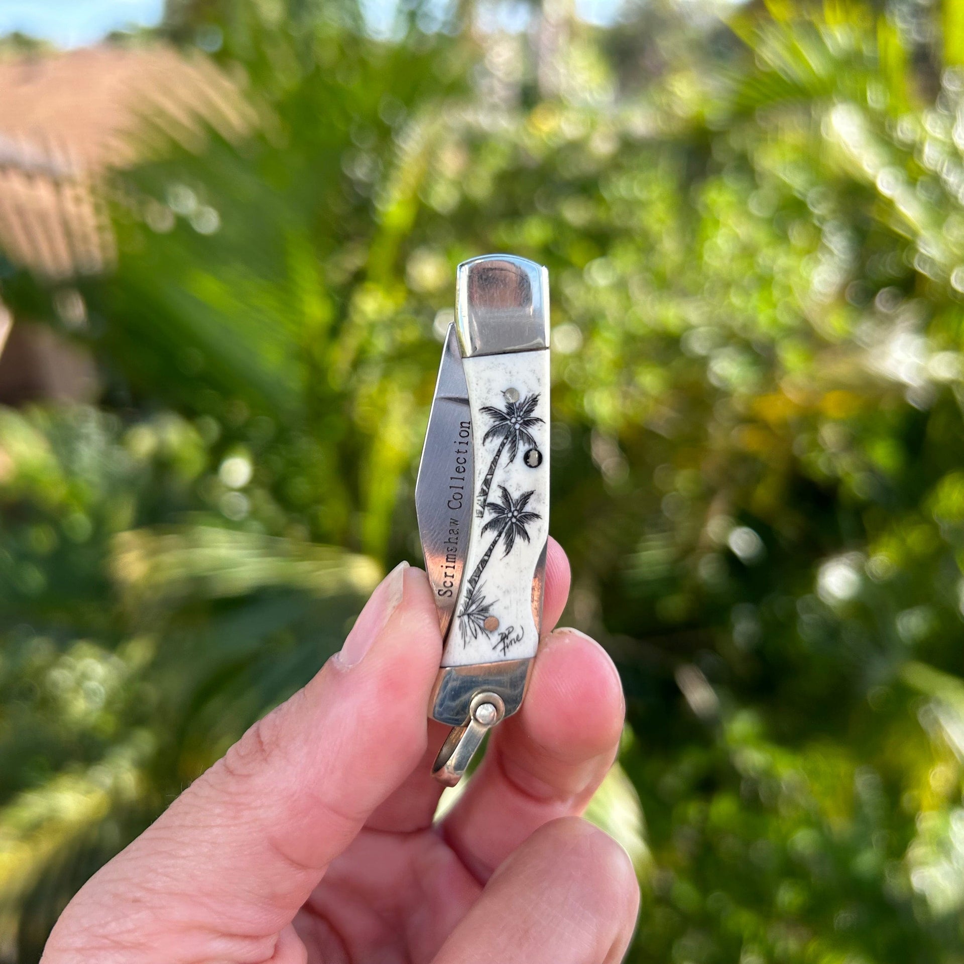 Derek Fine Scrimshaw Palm Trees Keychain Knife