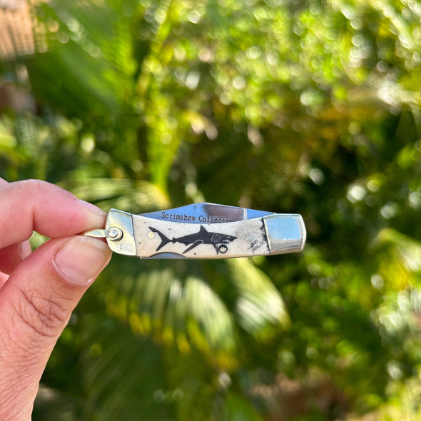 Derek Fine Scrimshaw Shark Keychain Knife