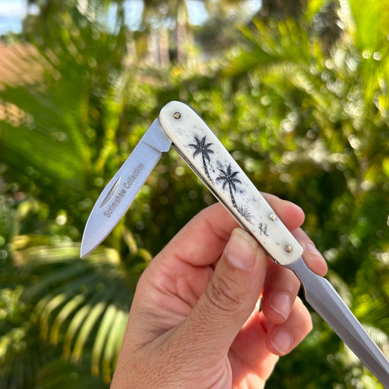 Derek Fine Scrimshaw Letter Opener