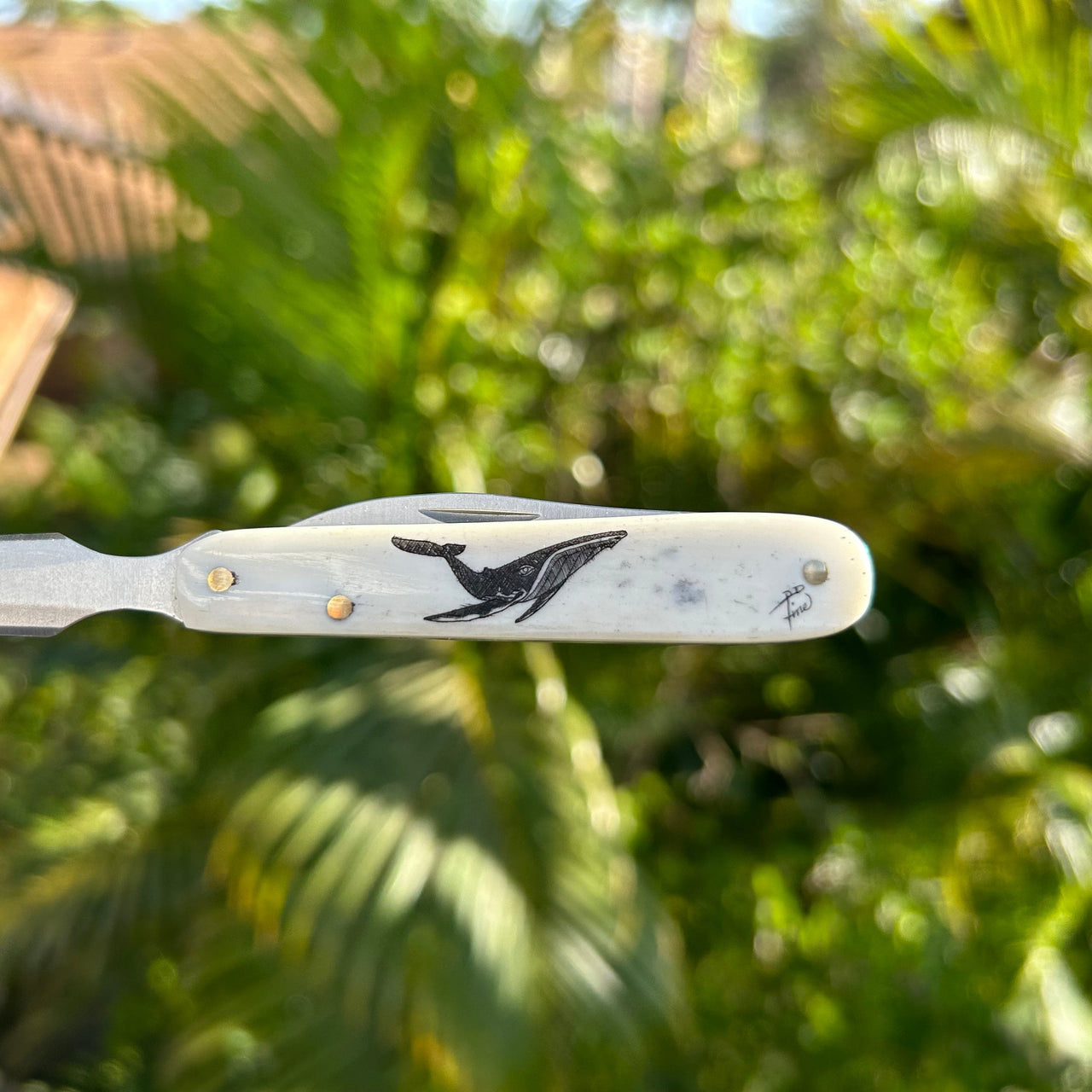 Derek Fine Scrimshaw Letter Opener