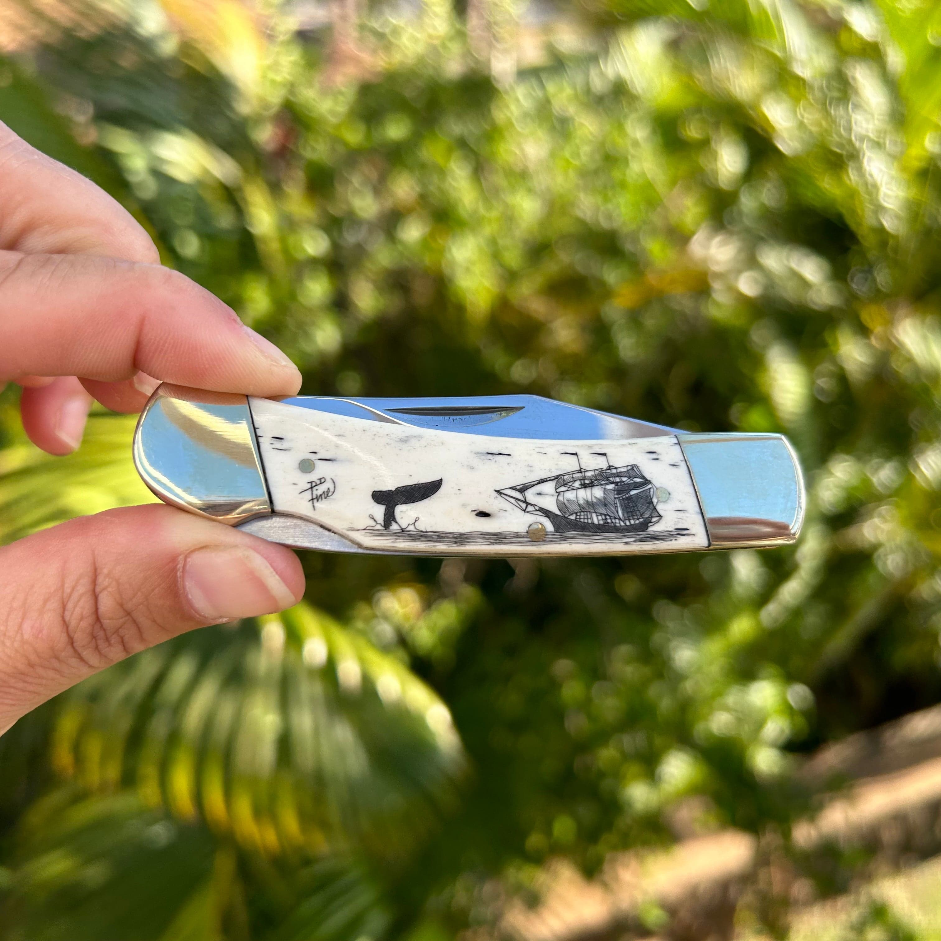 David Fine Scrimshaw Lock Back Knife | Whaler's Locker