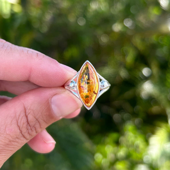 Marquise Baltic Amber Ring Set in Silver