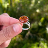 Baltic Amber Adjustable Ring- BAR19