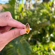 Marquise Baltic Amber Sterling Silver Ring in Size 8