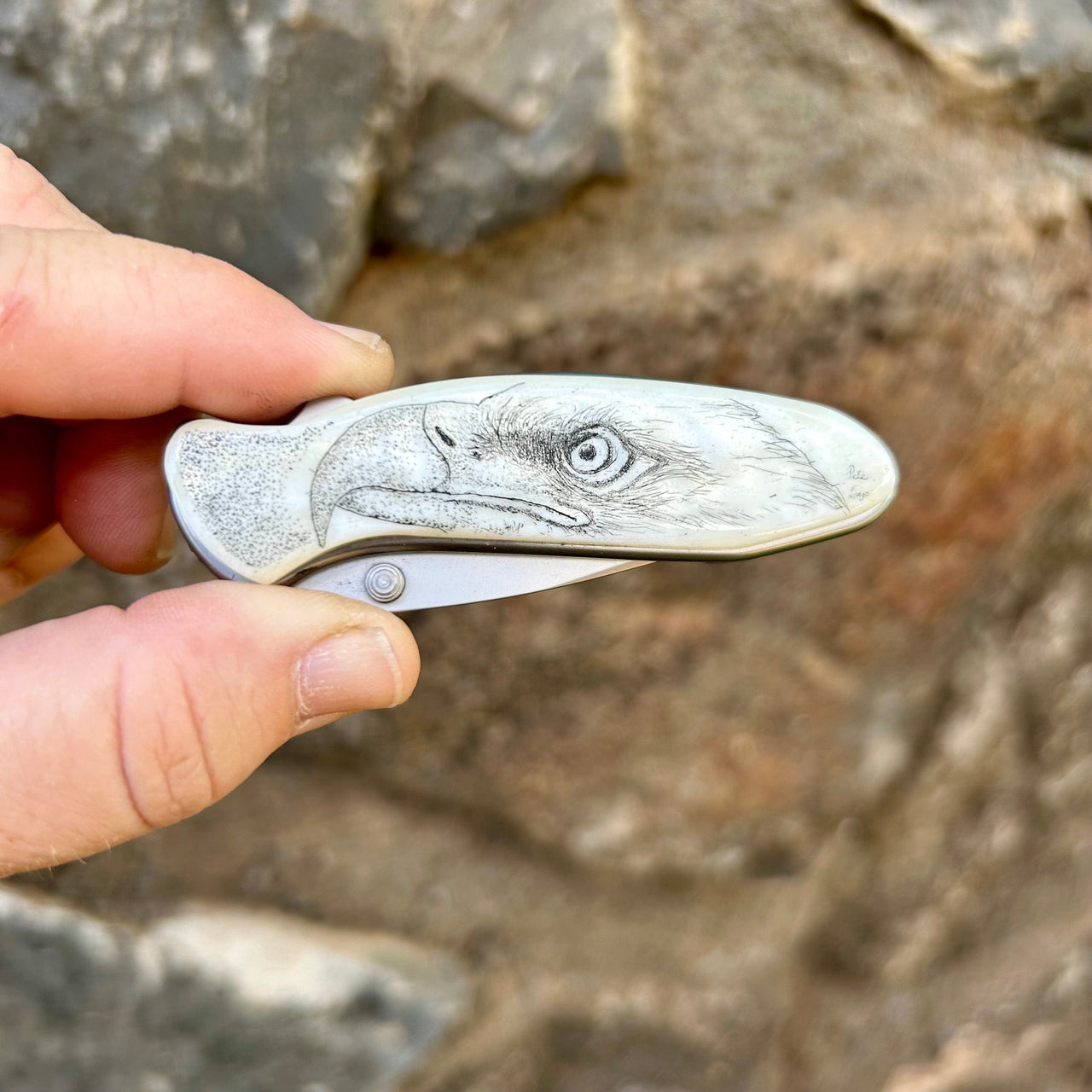 Pete Lange Scrimshaw Kershaw Chive Pocket Knife in Bald Eagle Design