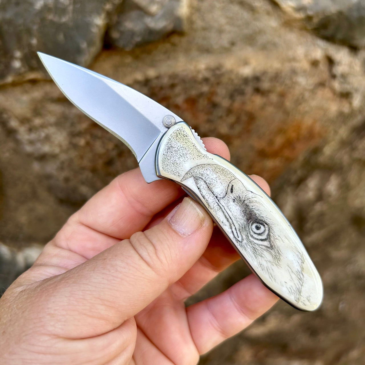 Open Pete Lange Bald Eagle Scrimshaw Kershaw Chive Pocket Knife