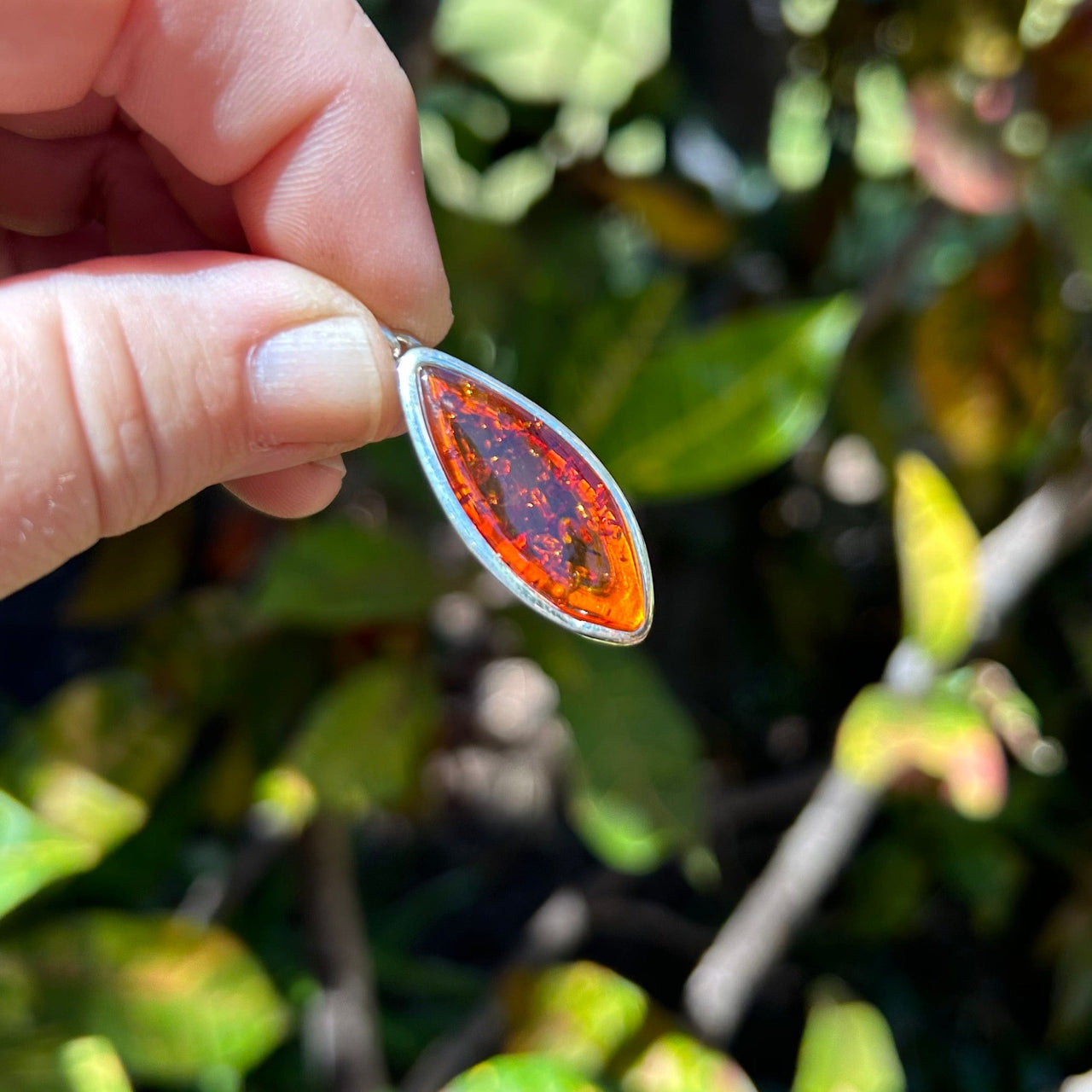 Bourbon Baltic Amber Pendant in Sterling Silver