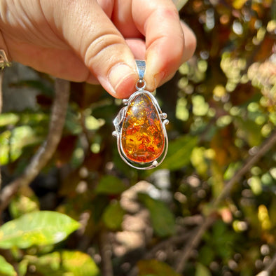 Large Honey Baltic Amber Pendant Set in Decorative Sterling Silver