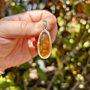 Baltic Amber Sterling Silver Pendant