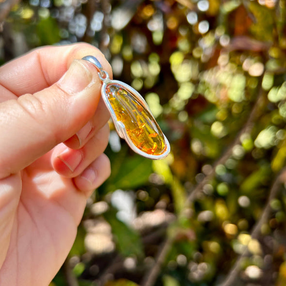 Honey Baltic Amber Pendant Set in Sterling Silver