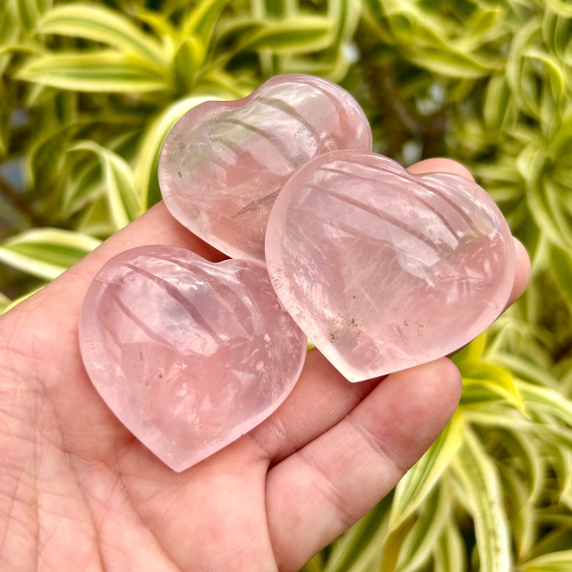 Small Polished Rose Quartz Hearts