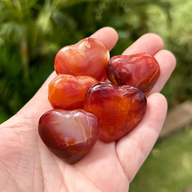 Person Holding Five Carnelian Polished Hearts