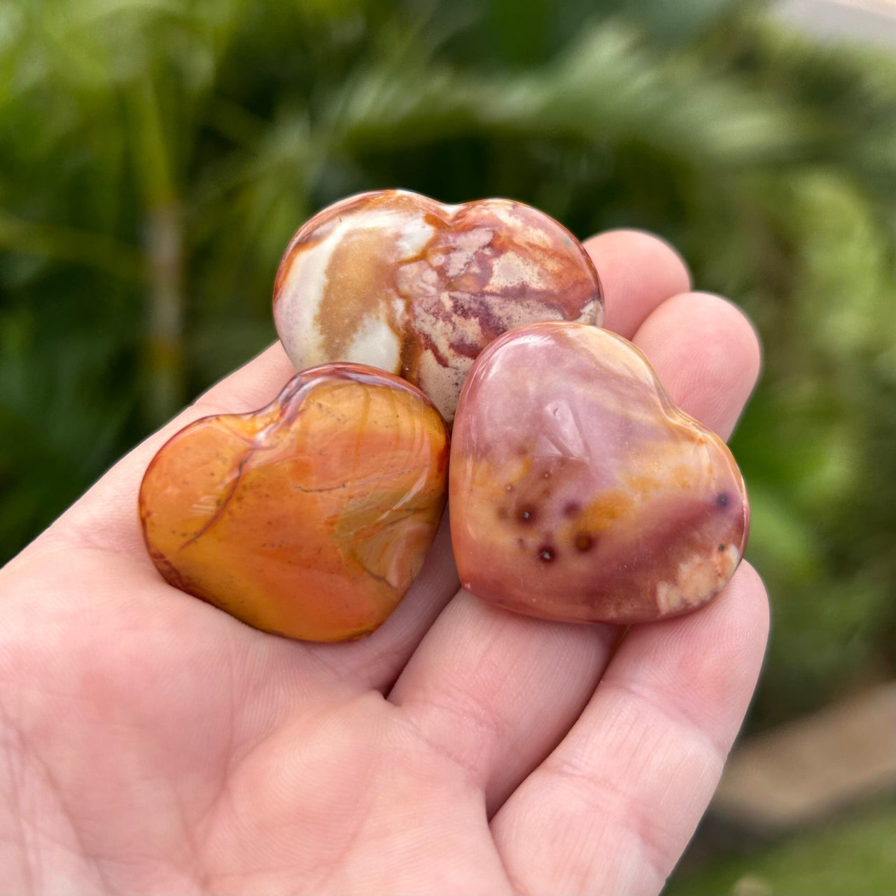 Hand holding Polychrome Jasper Hearts