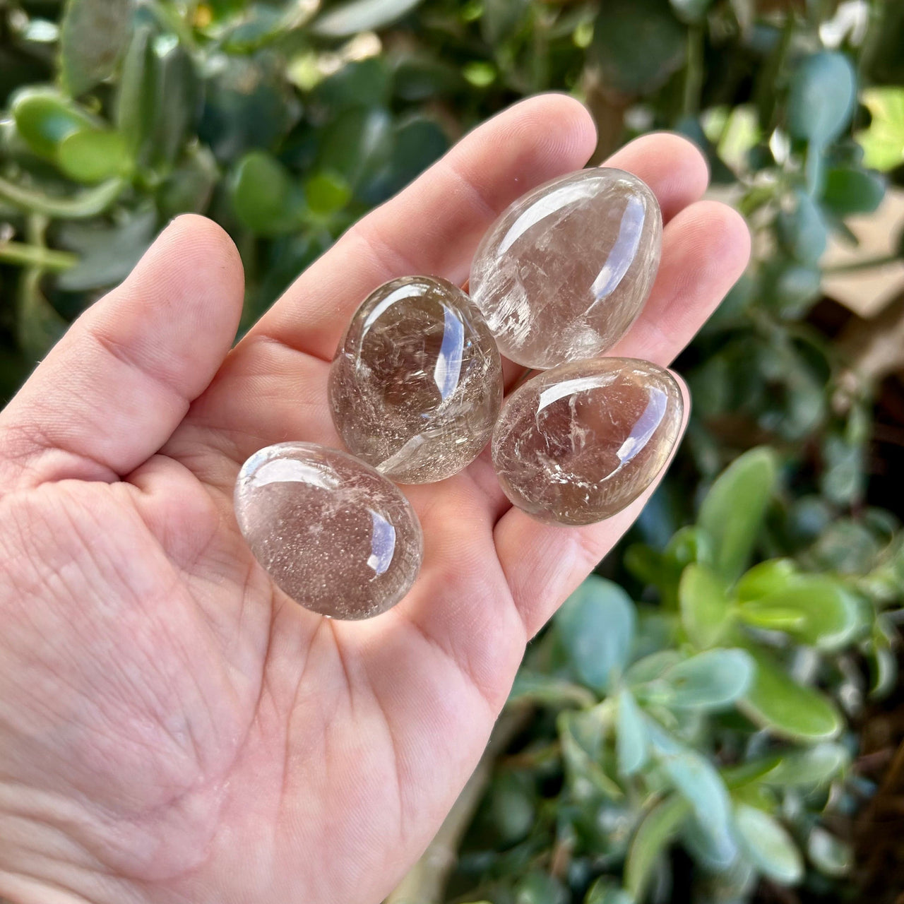 Small Smoky Quartz Eggs