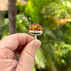 Tall Baltic Amber Ring- Size 6 3/4- BAR23