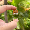Tall Baltic Amber Ring- Size 6 3/4- BAR23