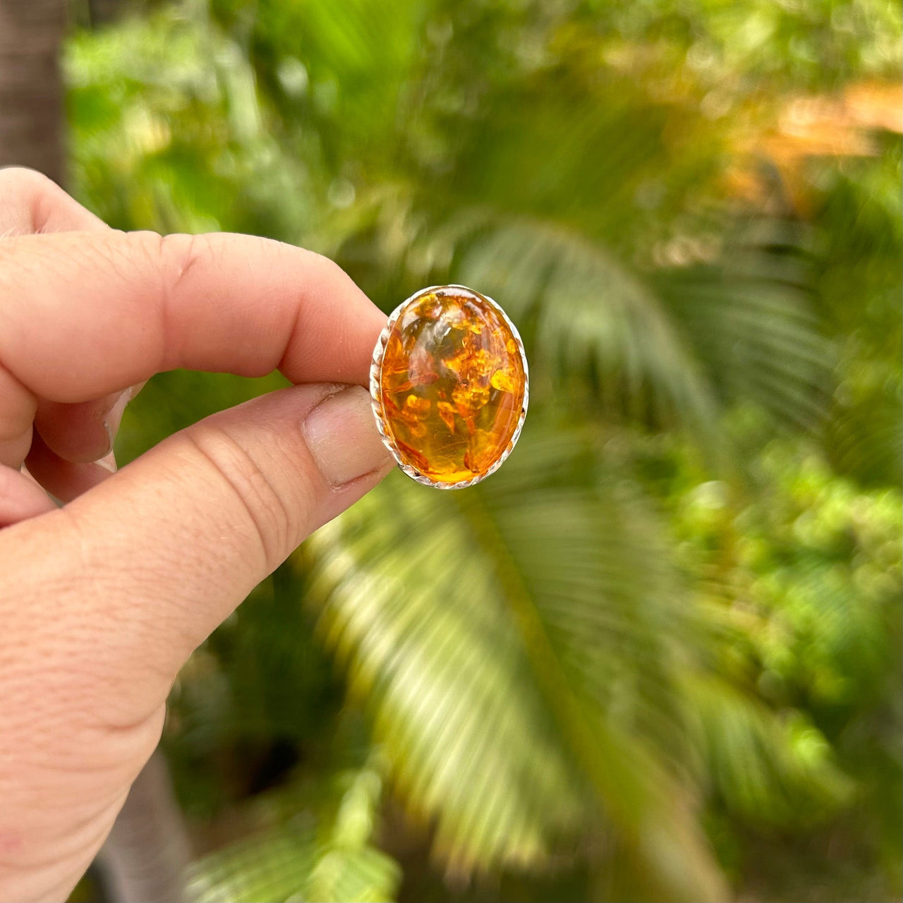 Tall Baltic Amber Ring- Size 6 3/4- BAR23