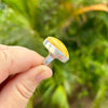 Milky Baltic Amber Ring- Size 8 - BAR09