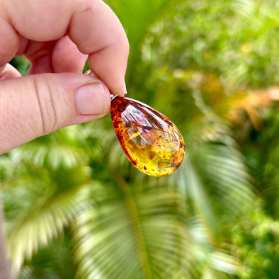 Large Ombre Baltic Amber Teardrop Pendant- BAP045