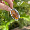 Oval Baltic Amber Pendant in Sterling Silver Frame