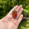 Honey Oval Baltic Amber Pendant in Sterling Silver Frame