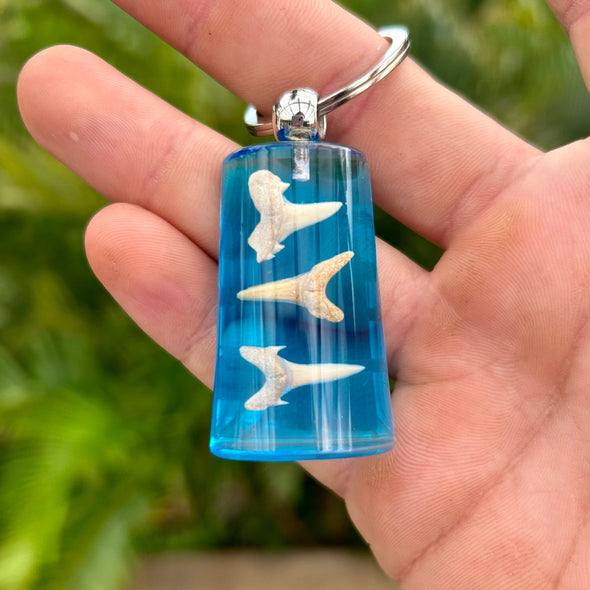 Blue Acrylic Keychain with Shark Teeth Fossils