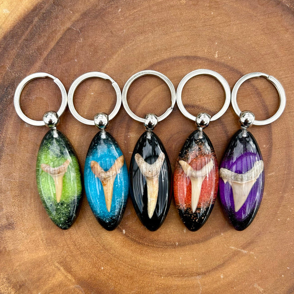 Acrylic Surfboard Shaped Keyrings with Shark Tooth Fossils