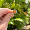 Honey Baltic Amber Fossil in Sterling Silver Ring
