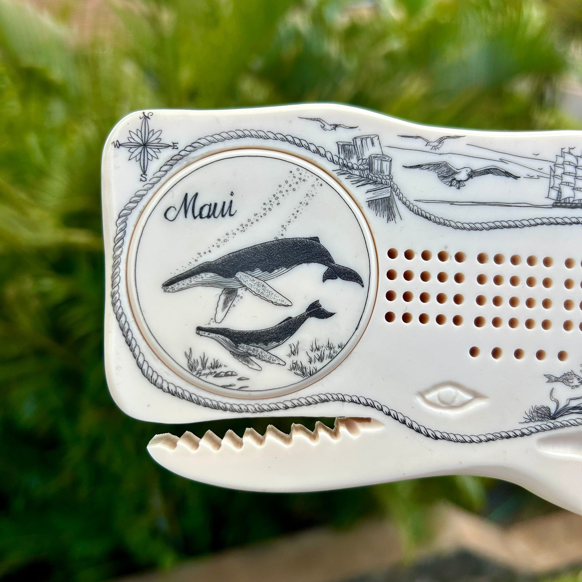 Humpback Whales Scrimshaw Sperm Whale Cribbage Board