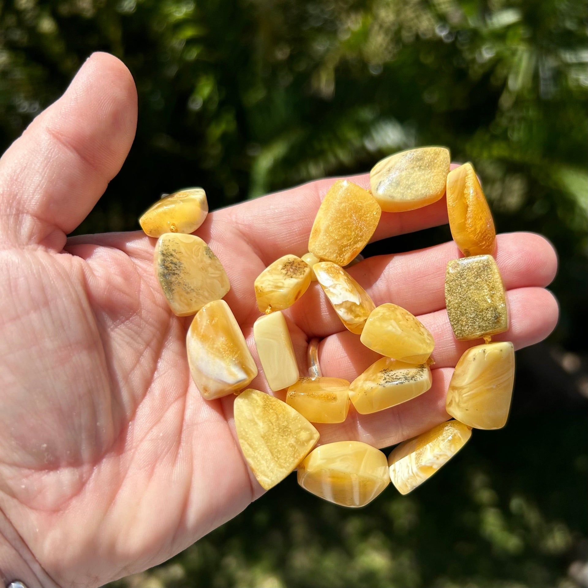 20" Baltic Amber Necklace with Buttery Yellow Beads